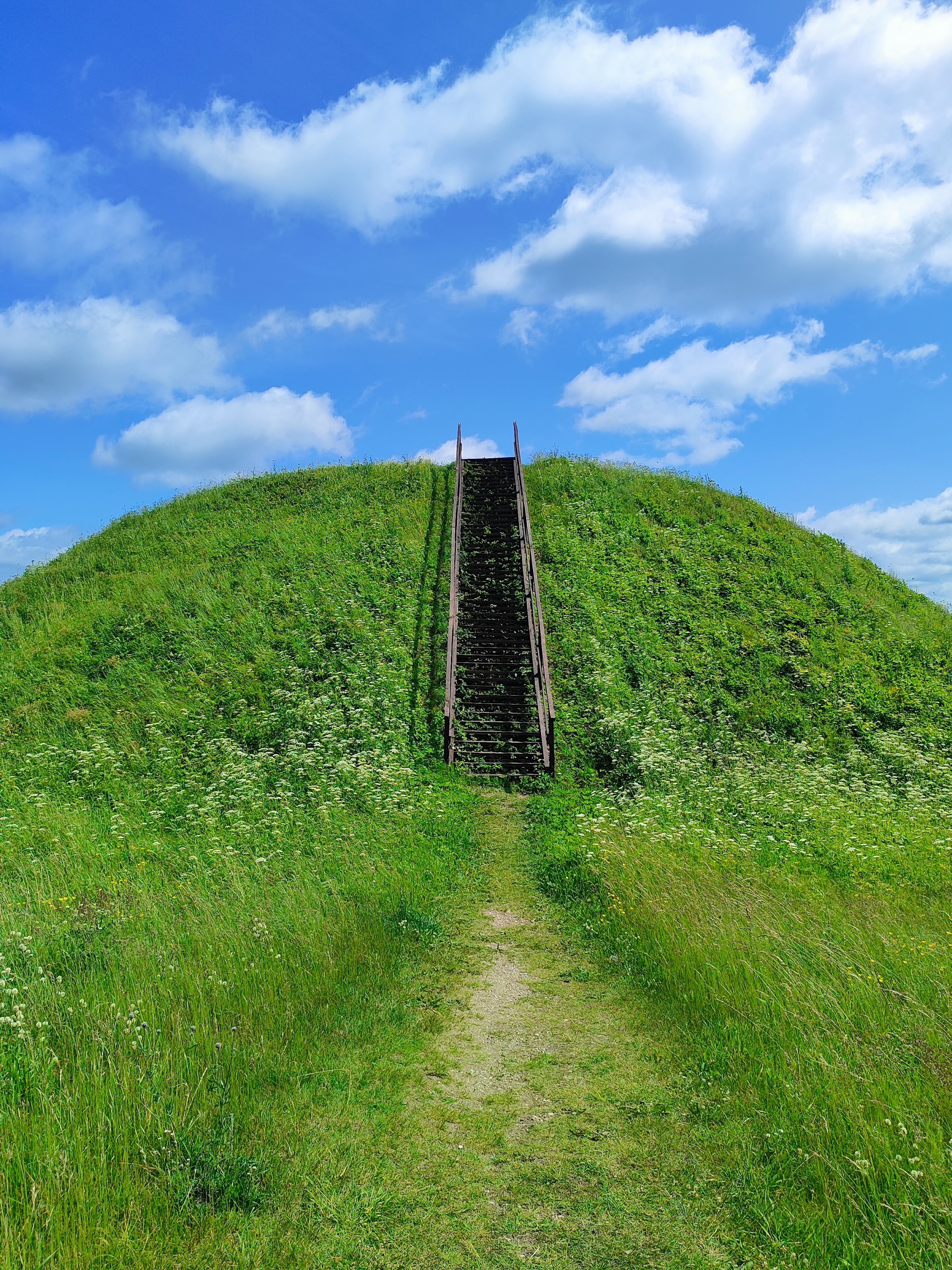 Medvėgalio Hill (Medvėgalio piliakalnis)